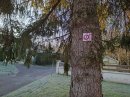 Symbole pour randonneurs